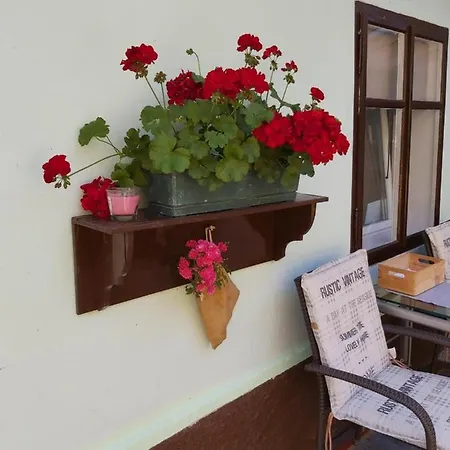 Guest house & Florjana 3*