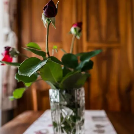 & Florjana Guest house