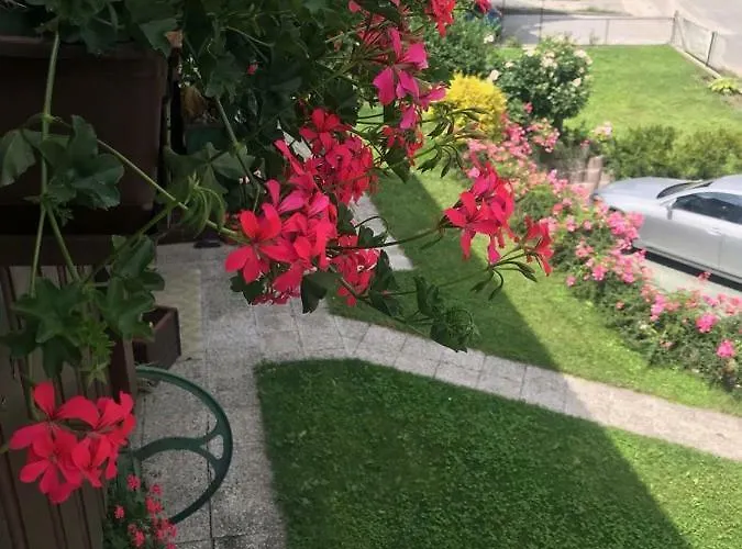 Hiša za goste & Florjana 3*