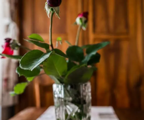 & Florjana Hiša za goste